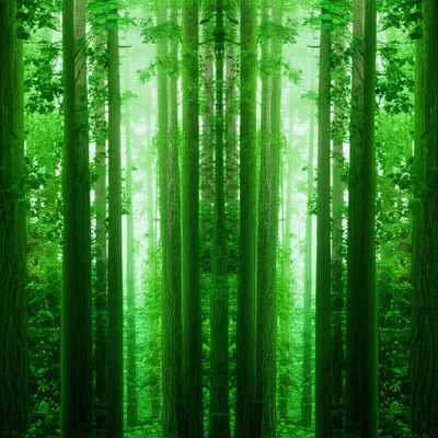 Illustration binocular - Image 1