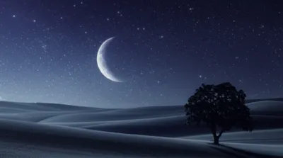 Illustration nights - Image 1