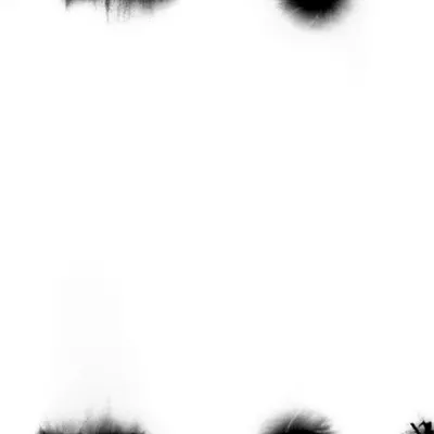 Illustration maculate