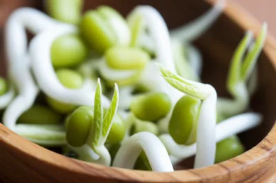 Illustration sprouts - Image 1