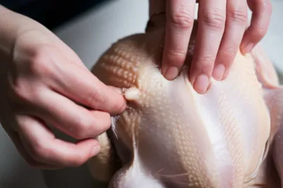 Illustration plucks - Image 1