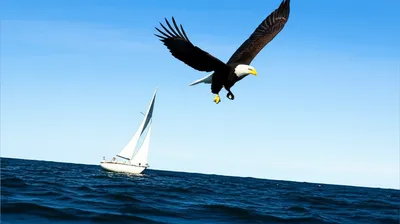 Illustration spotted - Image 1