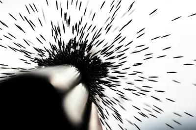 Illustration canister - Image 1