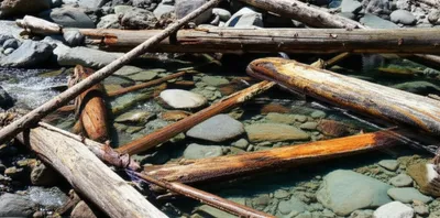 Illustration cripples - Image 1