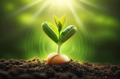 Illustration generates - Image 1