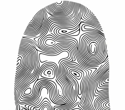Illustration fingerprints