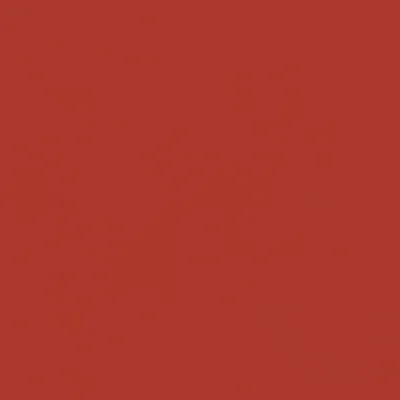 Illustration sorrel - Image 1