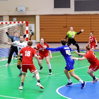 Illustration handballs - Image 1