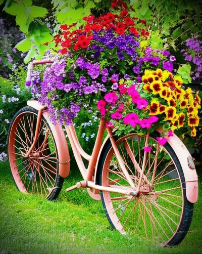 Hình ảnh minh họa utilizes - Ảnh 2