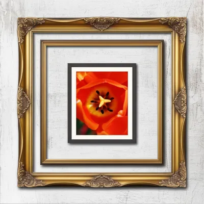 Illustration inset - Image 1