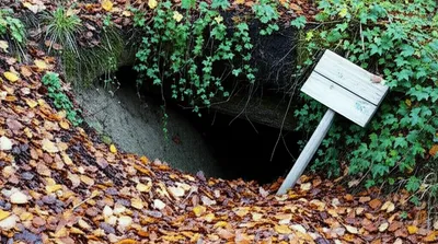 Illustration lair - Image 1