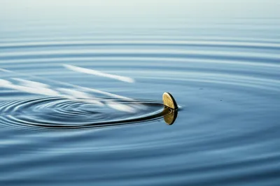 Illustration skip - Image 1