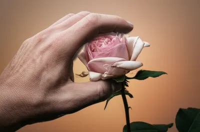 Illustration irritates - Image 1