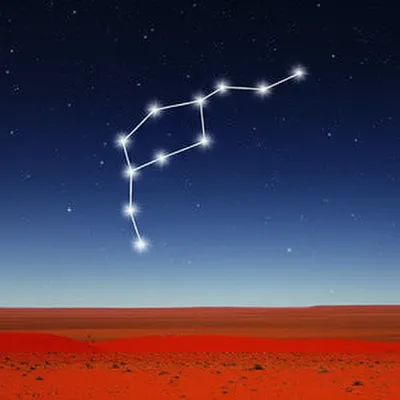 Illustration austral - Image 1