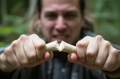 Illustration cartilaginous - Image 1