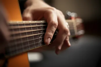 Illustration undulation - Image 1