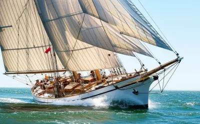 Illustration luffs - Image 1