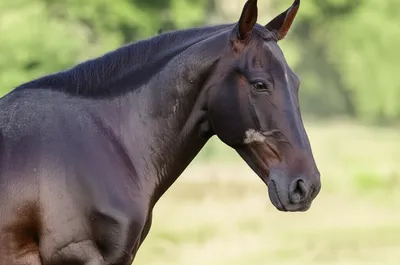 Illustration breathes - Image 1