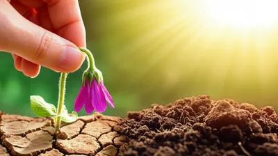 Illustration retrieves - Image 1