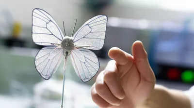 Illustration effects - Image 1