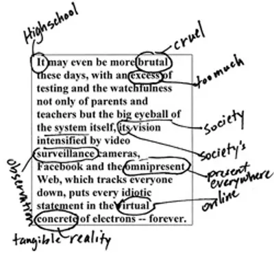 Illustration annotated - Image 2