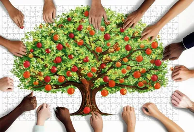 Illustration participations - Image 1