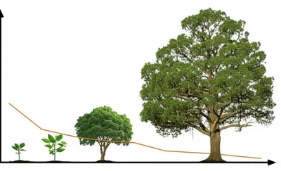 Illustration carry - Image 1