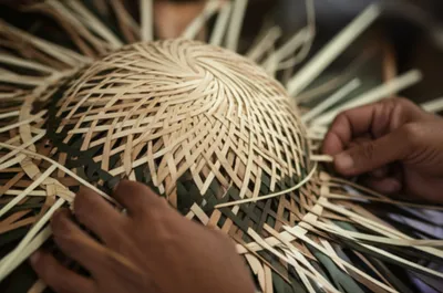 Illustration chips - Image 1