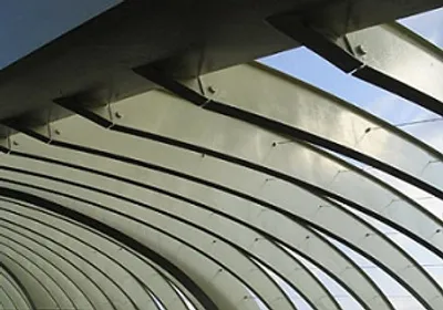 Illustration rib - Image 2