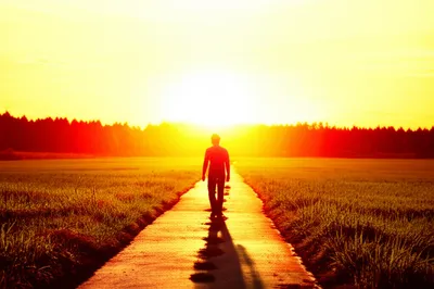 Illustration regresses - Image 1