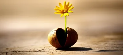 Illustration issued - Image 1