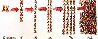 Illustration multiply - Image 2