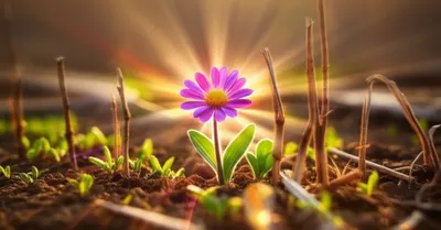 Illustration catalyze - Image 1