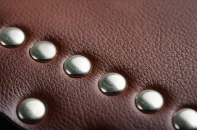 Illustration stud - Image 1