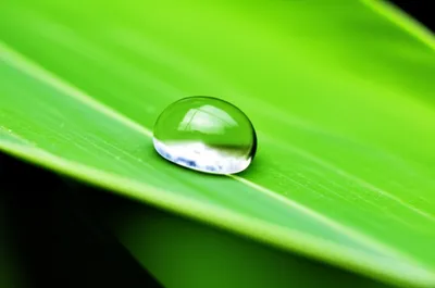 Illustration luster - Image 1