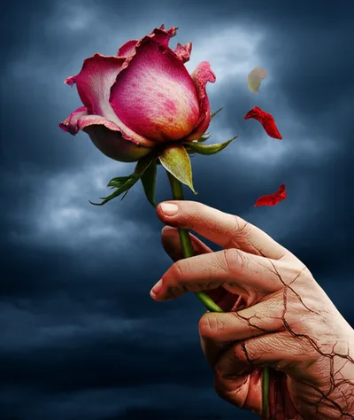 Illustration frail - Image 1