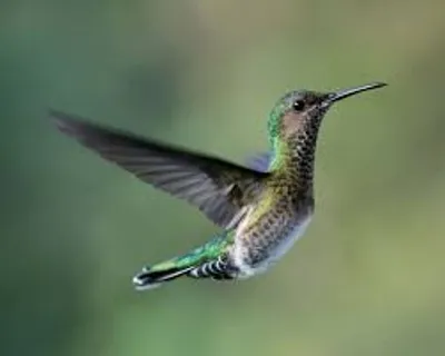 Illustration flirt - Image 2