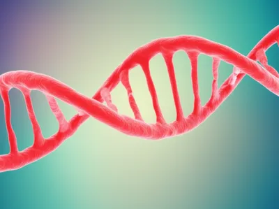 Illustration unbranched - Image 1