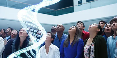 Illustration exhibits