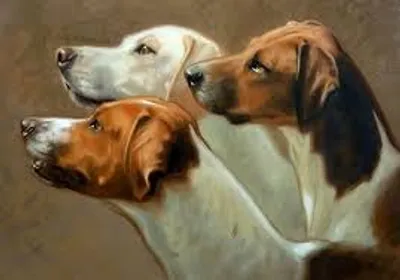 Illustration leash - Image 2