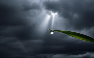 Illustration rays - Image 1