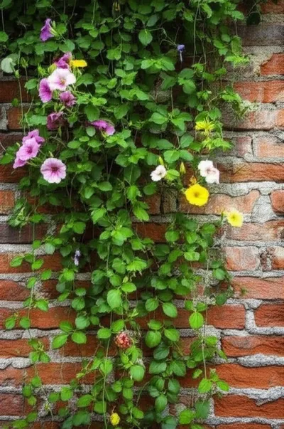 Illustration ramps - Image 1