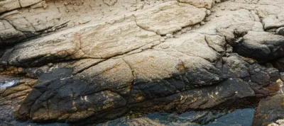 Illustration tidemark - Image 1