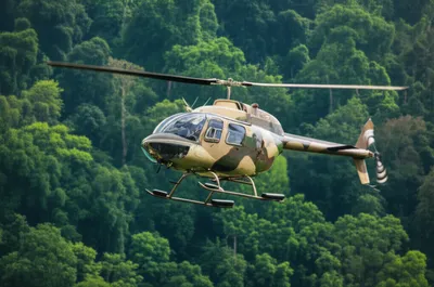 Illustration loaches