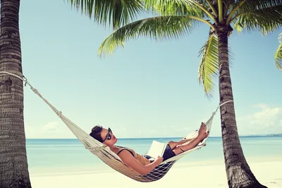 Illustration whiles - Image 1