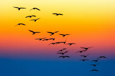 Illustration elevated - Image 1