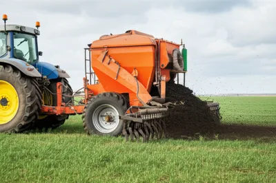 Illustration slicker - Image 1