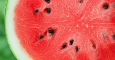 Illustration watermelons - Image 1