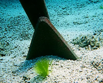 Illustration fluke - Image 1