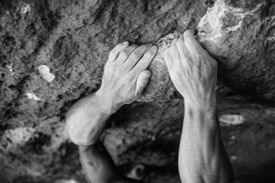 Illustration sinewy - Image 1